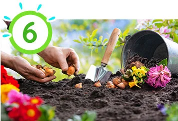 Organiser une vente de fleurs et  bulbes de fleurs