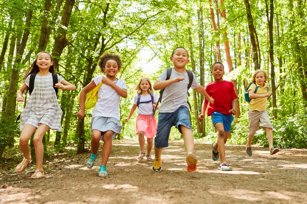 L'Importance des Parents Accompagnateurs en Sortie Scolaire